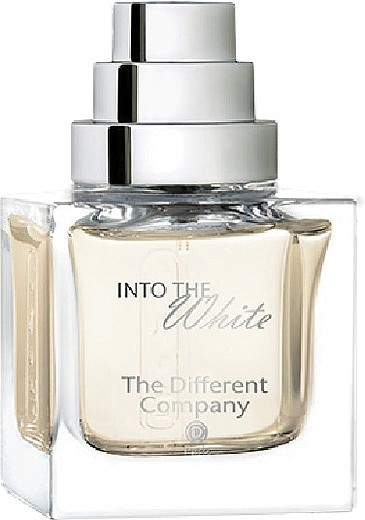 The Different Company — The Different Company Into The White
