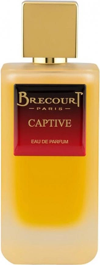 Brecourt Captive — фото 2