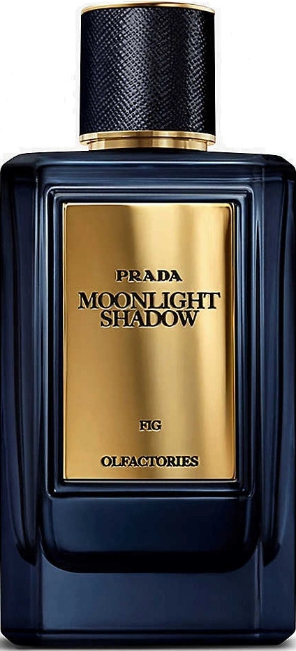 Prada Moonlight Shadow — фото 2