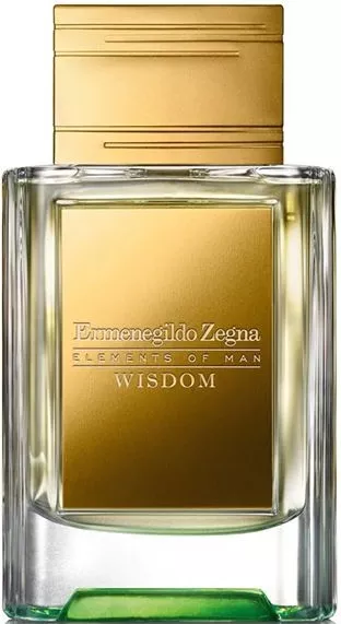 Ermenegildo Zegna Elements of Man Wisdom — фото 2