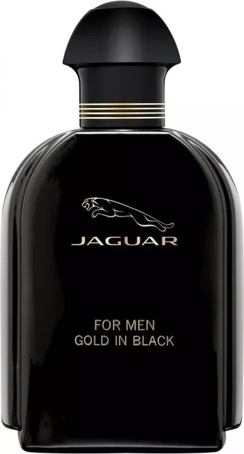Jaguar Gold in Black — фото 2