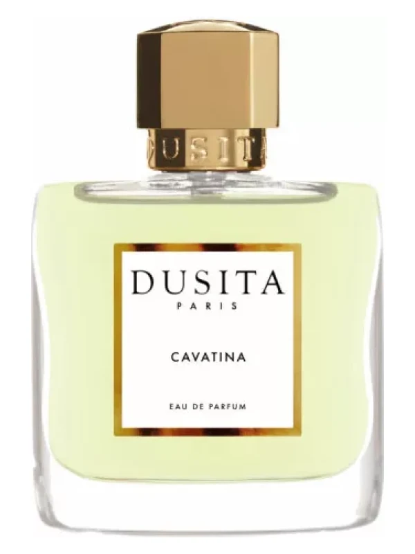 Dusita — Dusita Cavatina