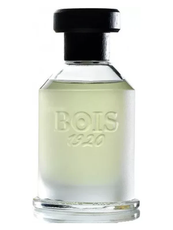 Bois 1920 — Bois 1920 Youth Magia
