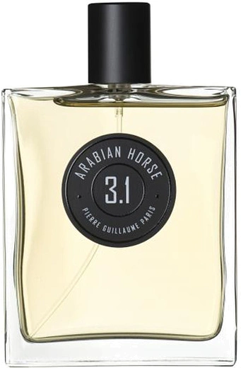 Pierre Guillaume — Pierre Guillaume Arabian Horse 3.1