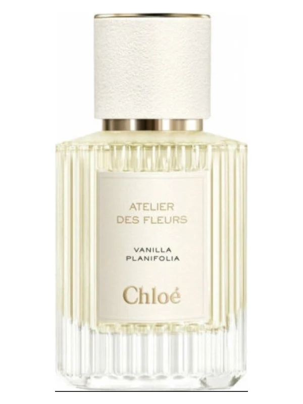 Chloe — Chloe Vanilla Planifolia