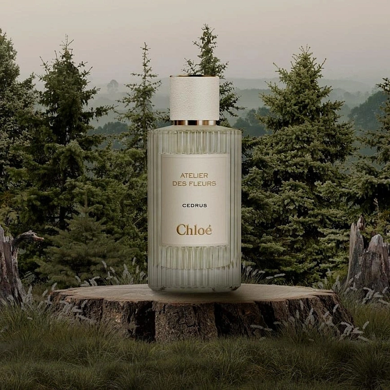 Chloe Cedrus Парфюмерная вода — фото 2