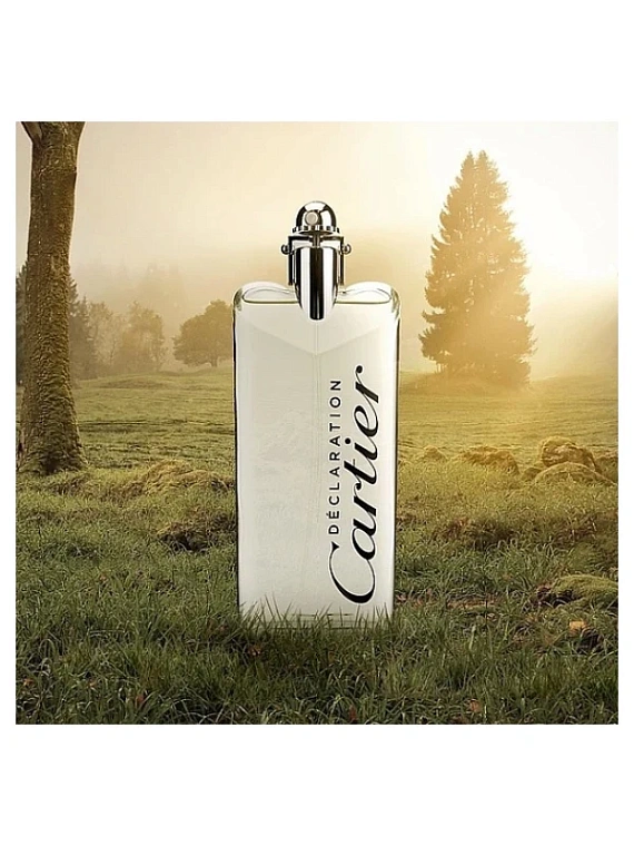 Cartier — Cartier Declaration