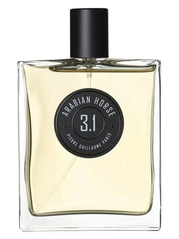 Pierre Guillaume — Pierre Guillaume Arabian Horse 3.1