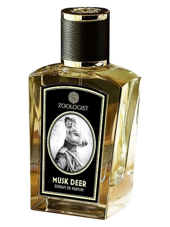 Zoologist — Zoologist Musk Deer