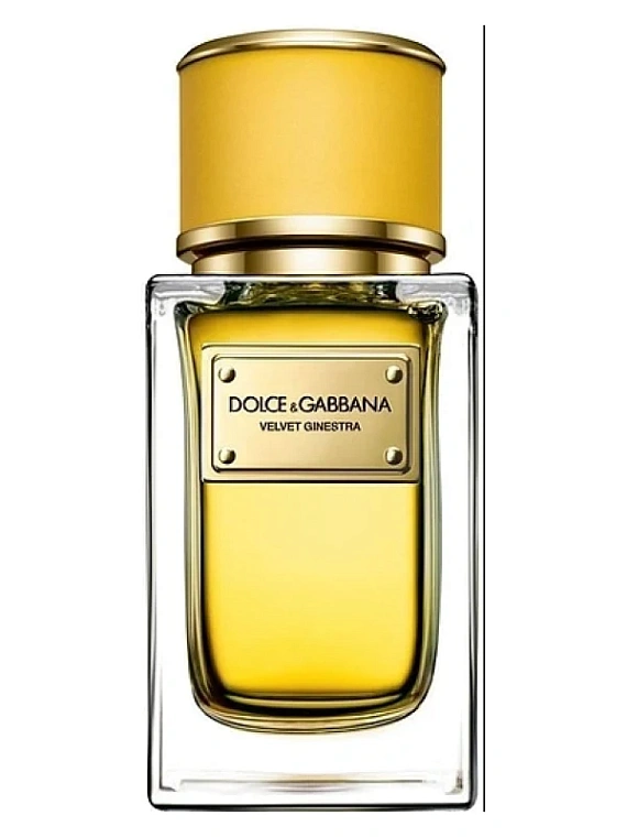 Dolce & Gabbana — Dolce & Gabbana Velvet Ginestra
