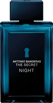 Antonio Banderas The Secret Night