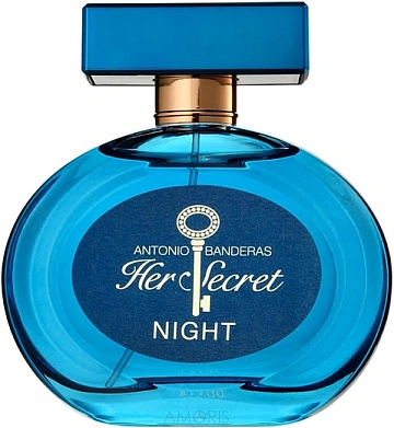 Antonio Banderas Her Secret Night