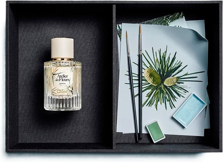 Chloe Cedrus Limited Edition — фото 3