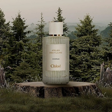 Chloe Cedrus Гель для душа