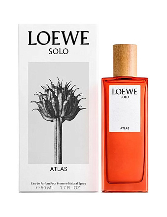 Loewe Solo Atlas