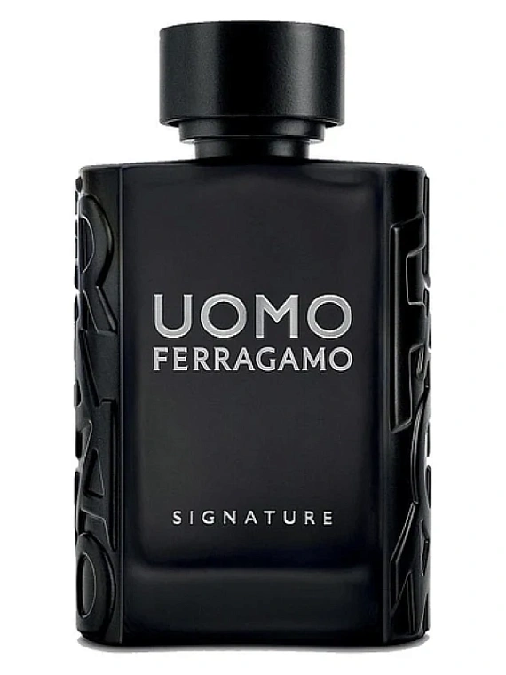 Salvatore Ferragamo — Salvatore Ferragamo Uomo Signature Гель для душа