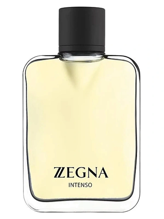 Ermenegildo Zegna — Ermenegildo Zegna Zegna Intenso
