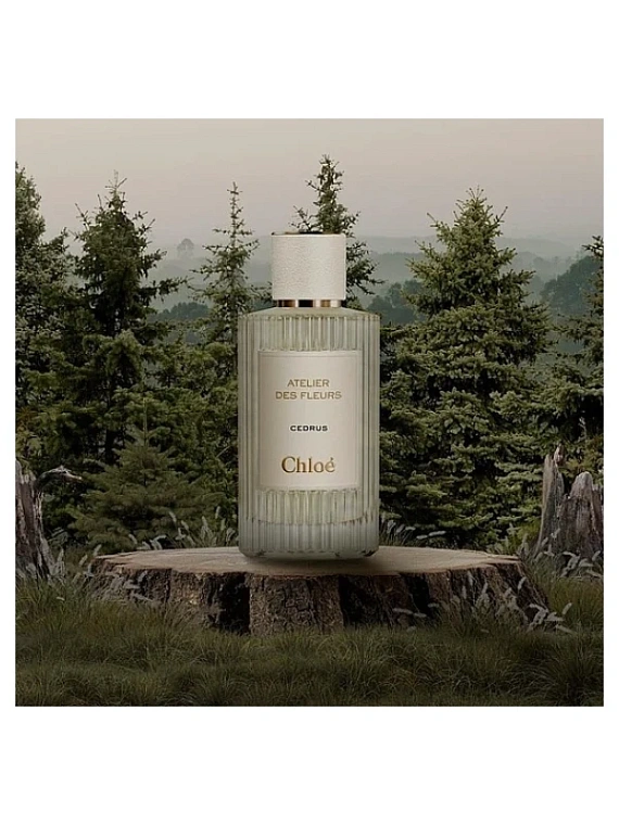 Chloe — Chloe Cedrus Гель для душа