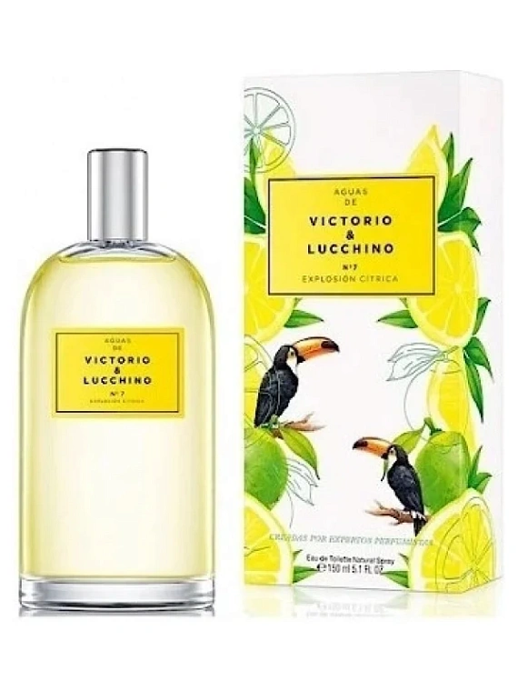 Victorio & Lucchino — Victorio & Lucchino №7 Explosion Citrica
