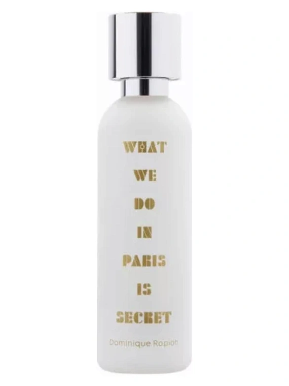A Lab On Fire — A Lab On Fire What We Do In Paris Is Secret