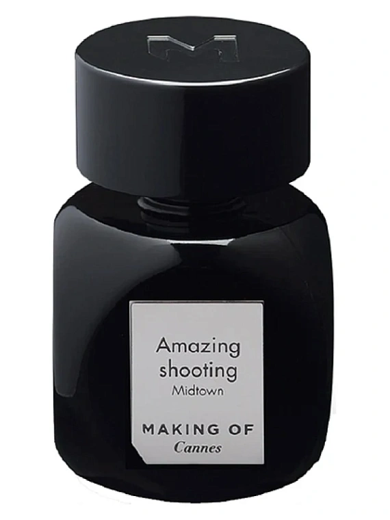Making of Cannes — Making of Cannes Amazing Shooting