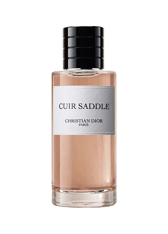 Christian Dior — Christian Dior Cuir Saddle