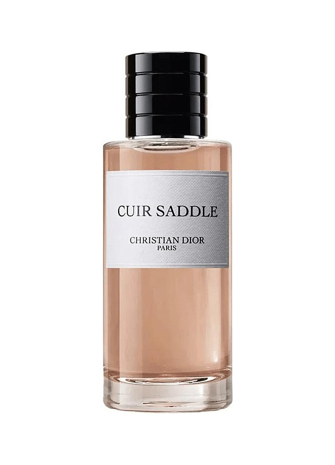 Christian Dior — Christian Dior Cuir Saddle