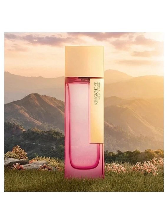 LM Parfums — LM Parfums Kingkydise