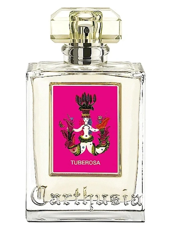 Carthusia — Carthusia Tuberosa