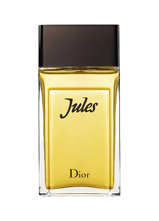 Christian Dior Jules 2016