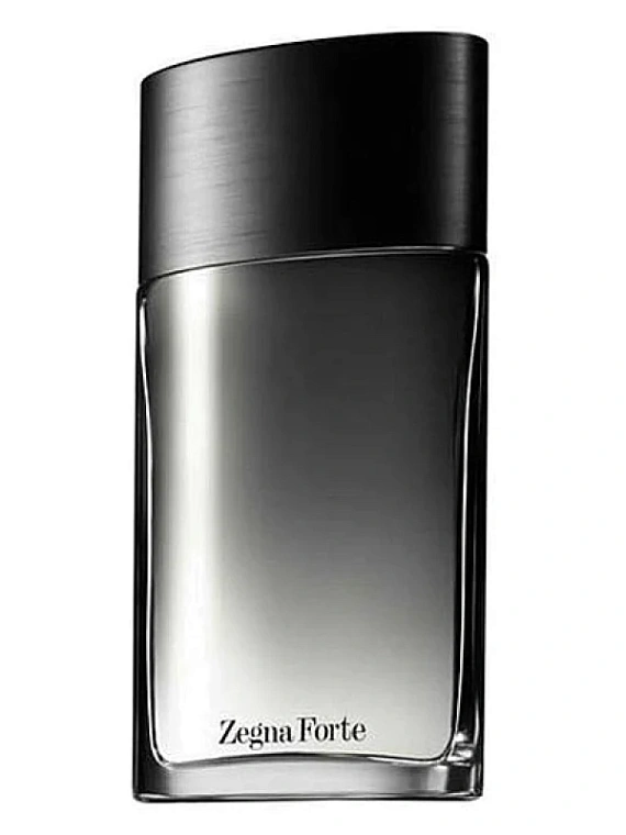 Ermenegildo Zegna — Ermenegildo Zegna Zegne Forte