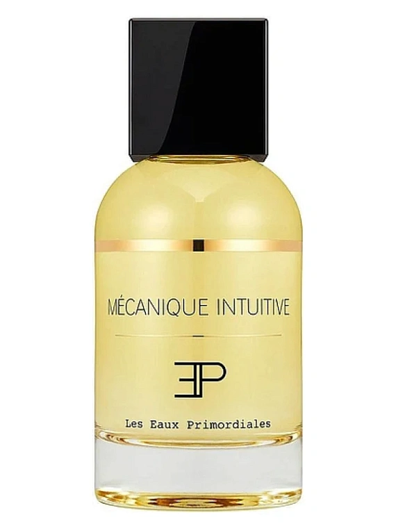 Les Eaux Primordiales — Les Eaux Primordiales Mecanique Intuitive