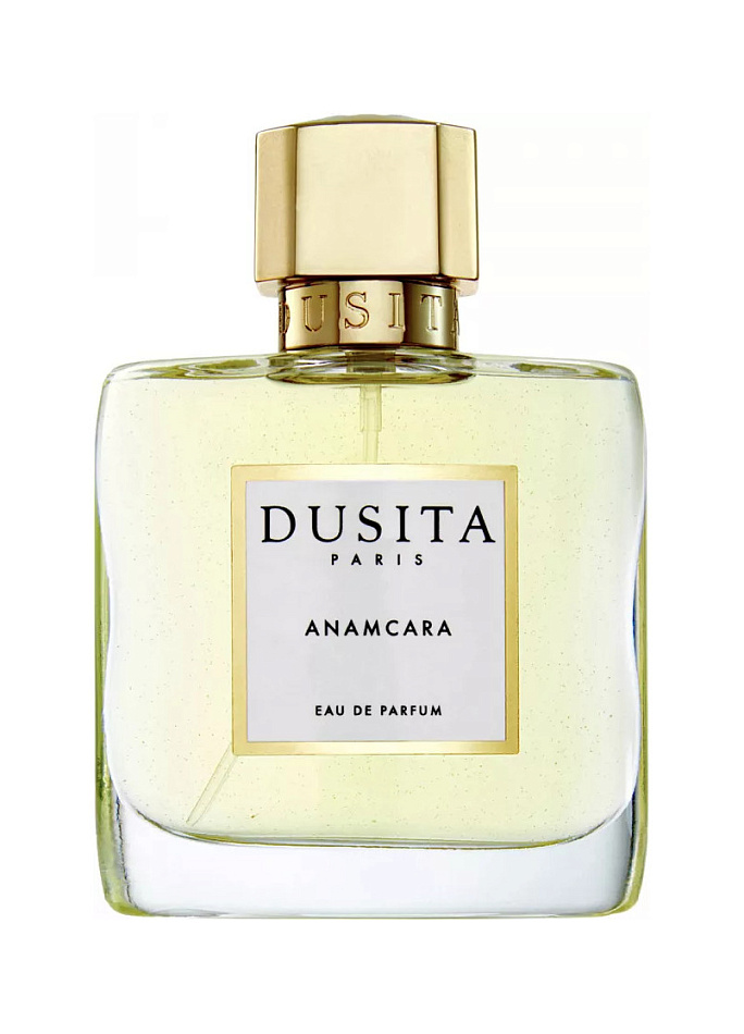 Dusita — Dusita Anamcara