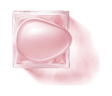 Giorgio Armani Armani Prive Rose Milano Soie De Nacre