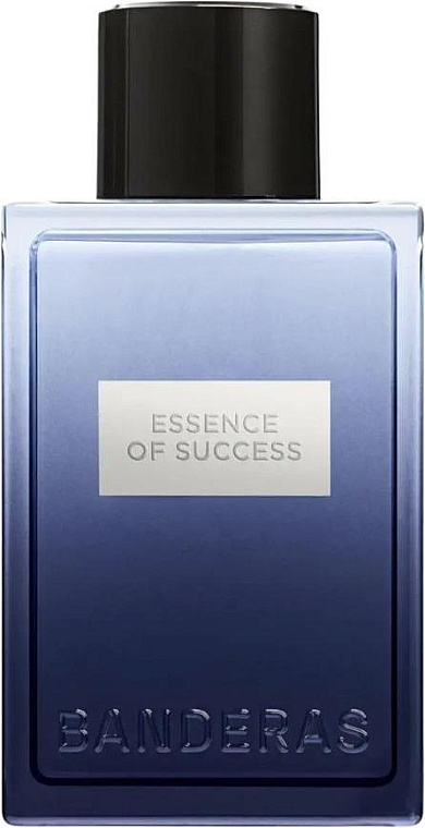 Antonio Banderas — Antonio Banderas Essence of Success