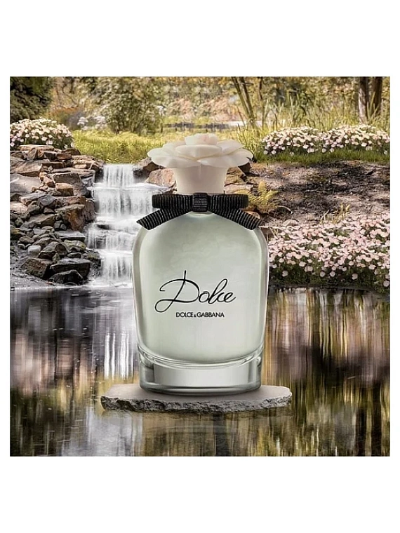 Dolce & Gabbana — Dolce & Gabbana Dolce