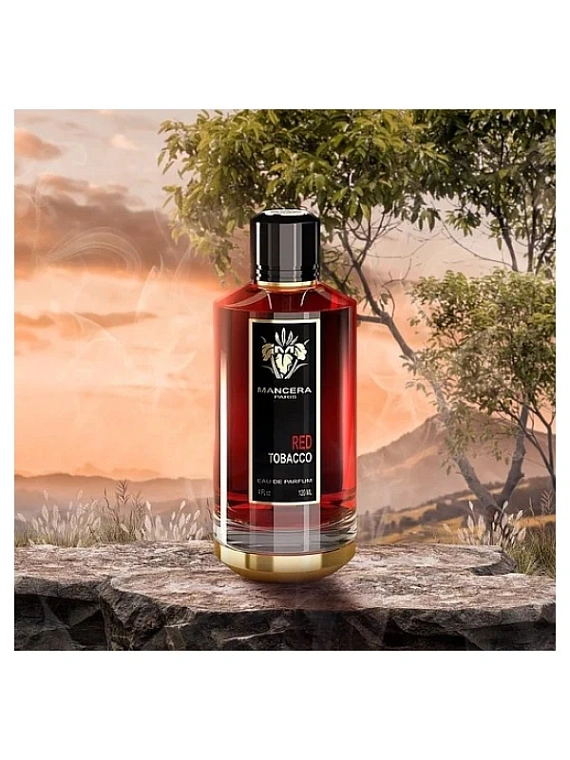 Mancera — Mancera Red Tobacco