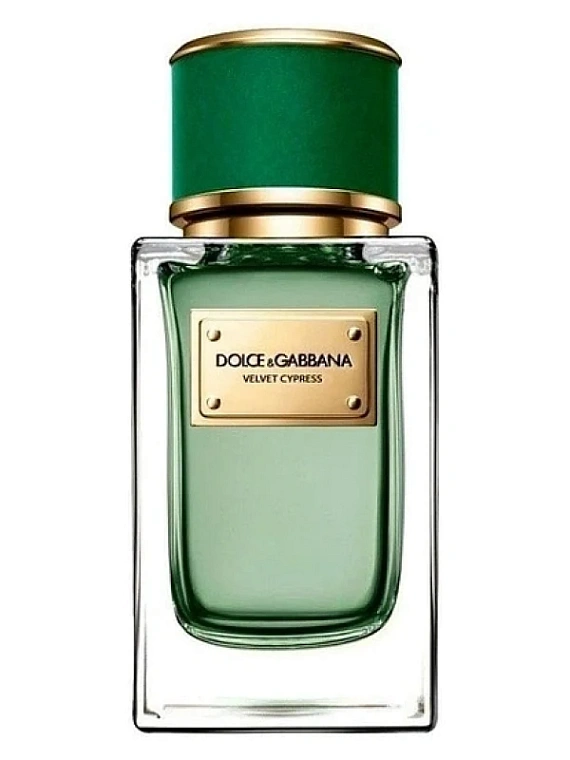Dolce & Gabbana — Dolce & Gabbana Velvet Cypress