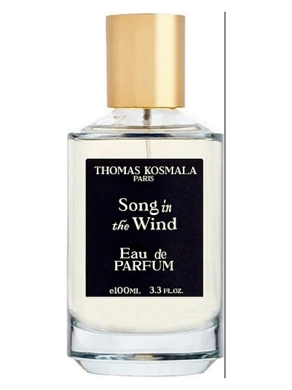 Thomas Kosmala — Thomas Kosmala Song In The Wind