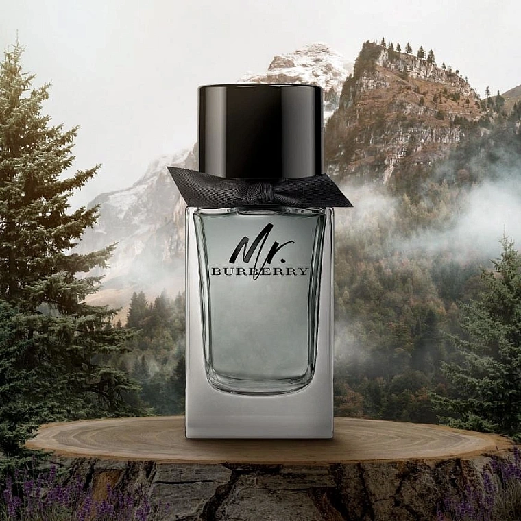 Burberry Mr. Burberry Парфюмерная вода — фото 2