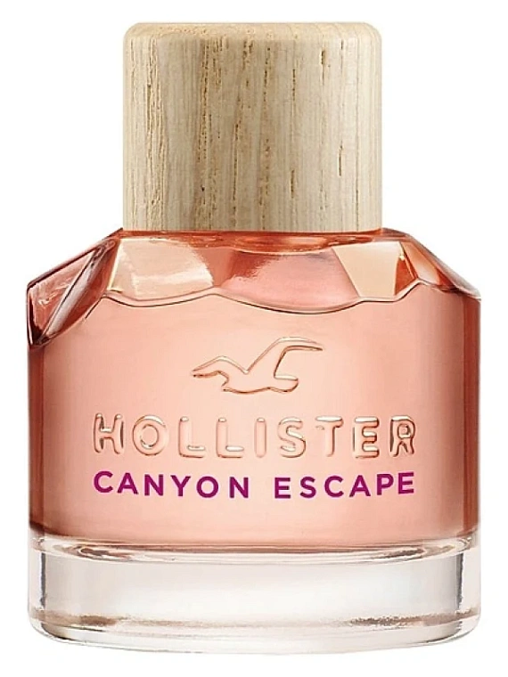 Hollister — Hollister Canyon Escape Woman