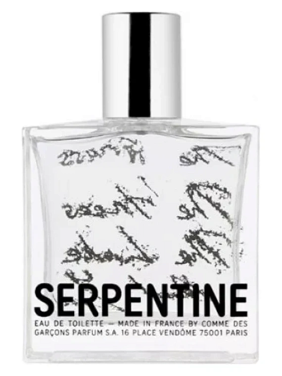 Comme des Garcons — Comme des Garcons Serpentine