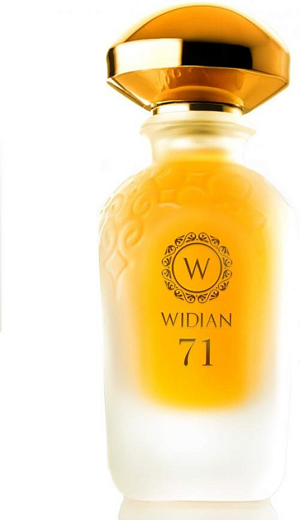 Aj Arabia — Widian (Aj Arabia) Limited 71