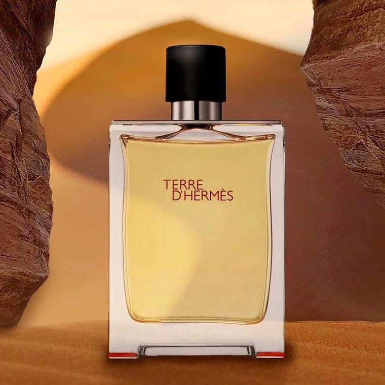 Hermes Terre D'hermes Дезодорант-спрей — фото 4