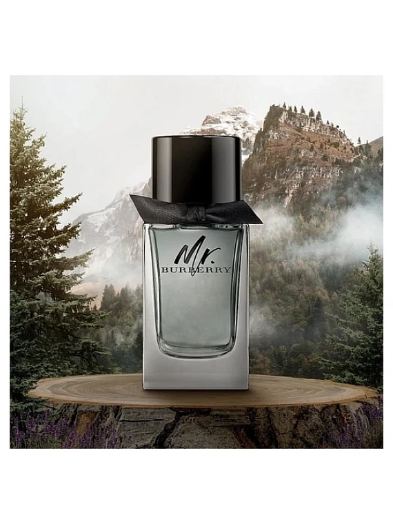 Burberry — Burberry Mr. Burberry Парфюмерная вода