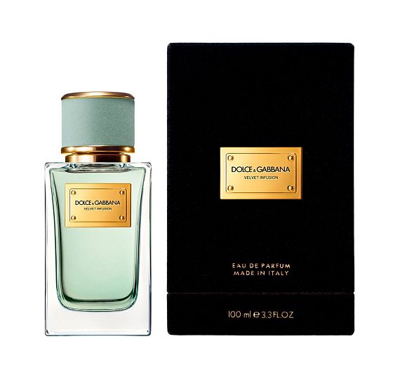 Dolce & Gabbana — Dolce & Gabbana Velvet Infusion