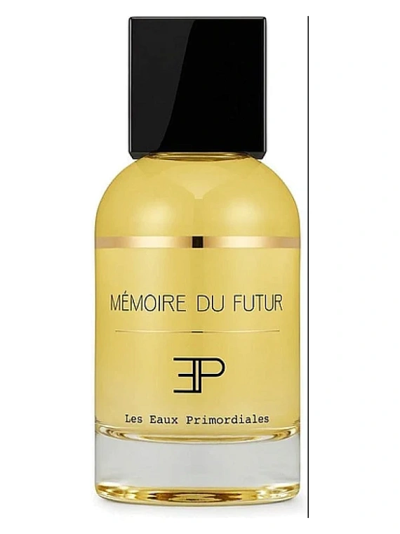 Les Eaux Primordiales — Les Eaux Primordiales Memoire Du Futur