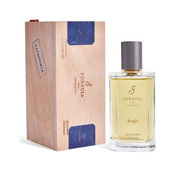 Fueguia 1833 — Fueguia 1833 Beagle