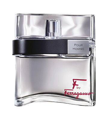 Salvatore Ferragamo F by Ferragamo pour homme