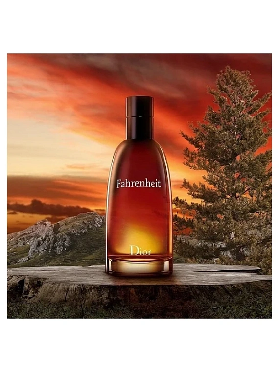 Christian Dior — Christian Dior Fahrenheit Духи